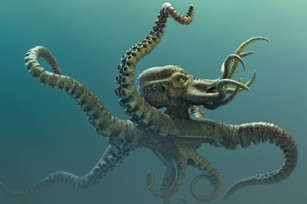 Kraken 12 at что это