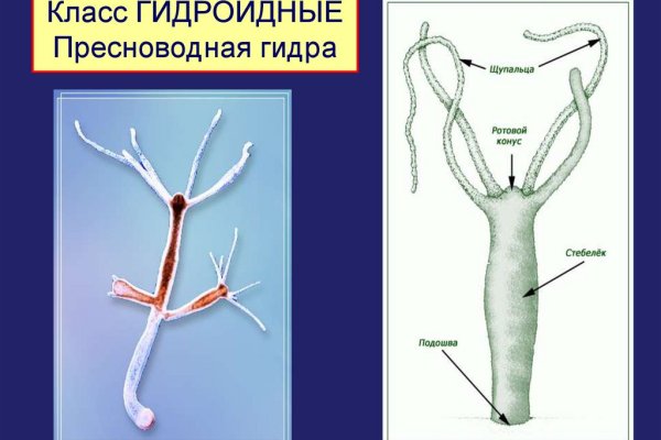 Кракен не заходит